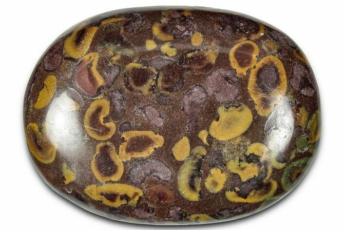 Polished Fruit Jasper Palm Stone - India #343184